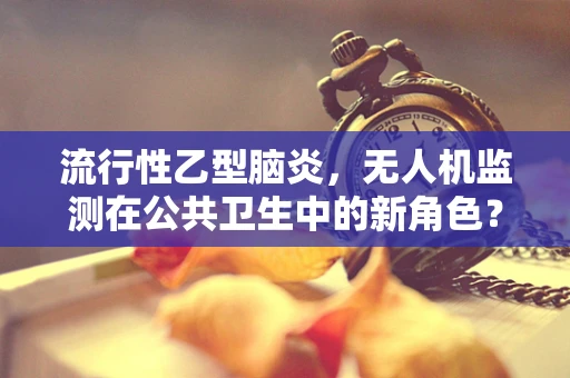 流行性乙型脑炎，无人机监测在公共卫生中的新角色？