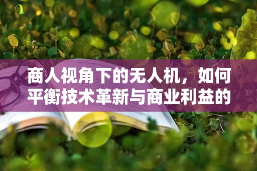 商人视角下的无人机，如何平衡技术革新与商业利益的双重挑战？