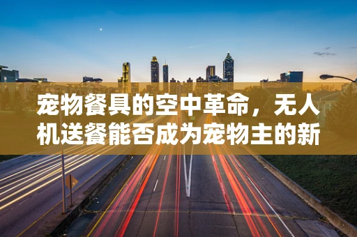 宠物餐具的空中革命，无人机送餐能否成为宠物主的新宠？