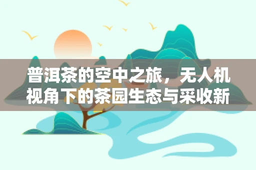 普洱茶的空中之旅，无人机视角下的茶园生态与采收新纪元