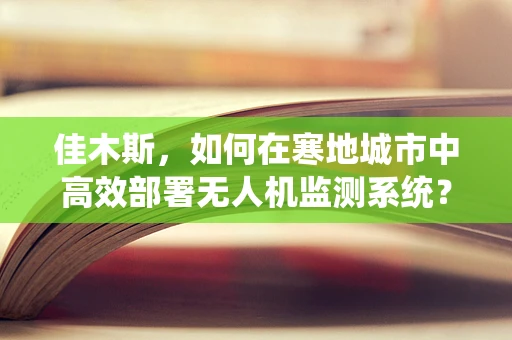 佳木斯，如何在寒地城市中高效部署无人机监测系统？