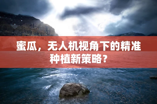 蜜瓜，无人机视角下的精准种植新策略？