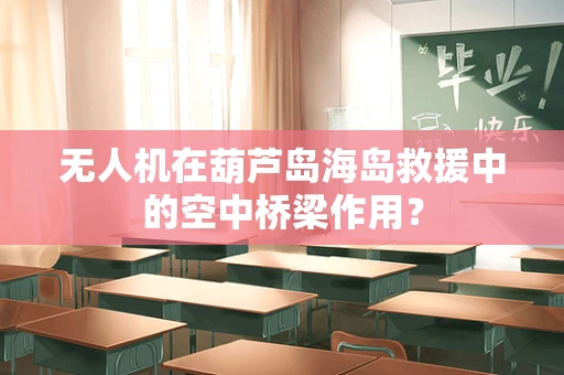 无人机在葫芦岛海岛救援中的空中桥梁作用？