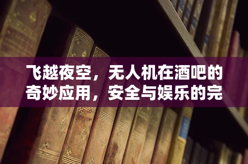 飞越夜空，无人机在酒吧的奇妙应用，安全与娱乐的完美融合？
