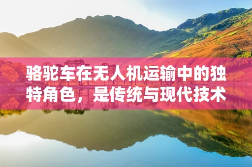 骆驼车在无人机运输中的独特角色，是传统与现代技术的完美融合吗？