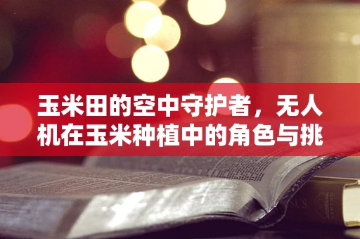 玉米田的空中守护者，无人机在玉米种植中的角色与挑战？