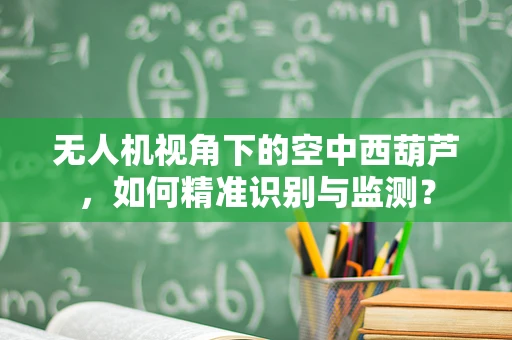 无人机视角下的空中西葫芦，如何精准识别与监测？