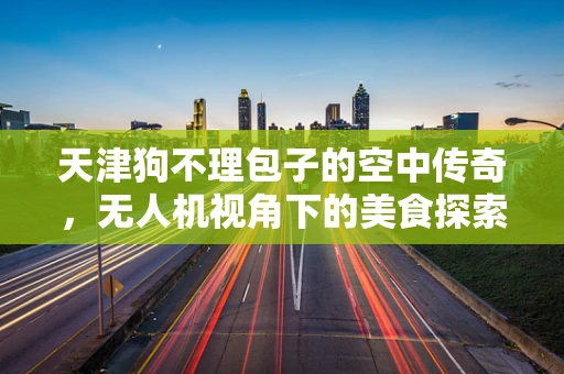 天津狗不理包子的空中传奇，无人机视角下的美食探索