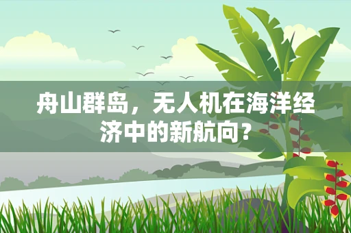 舟山群岛，无人机在海洋经济中的新航向？