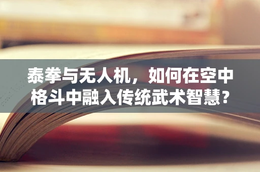 泰拳与无人机，如何在空中格斗中融入传统武术智慧？
