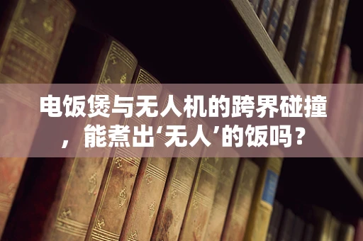 电饭煲与无人机的跨界碰撞，能煮出‘无人’的饭吗？
