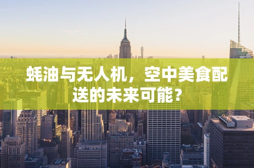 蚝油与无人机，空中美食配送的未来可能？