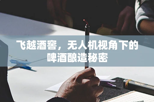 飞越酒窖，无人机视角下的啤酒酿造秘密