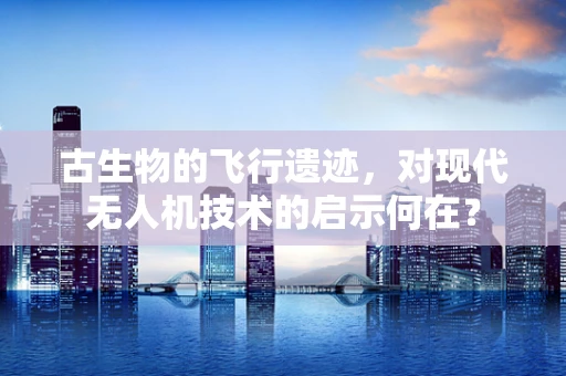 古生物的飞行遗迹，对现代无人机技术的启示何在？
