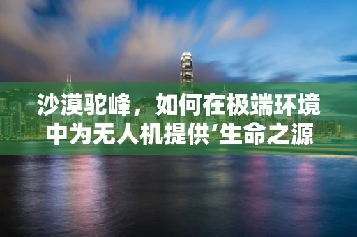 沙漠驼峰，如何在极端环境中为无人机提供‘生命之源’？
