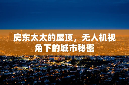 房东太太的屋顶，无人机视角下的城市秘密