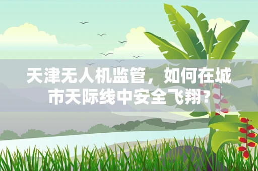 天津无人机监管，如何在城市天际线中安全飞翔？