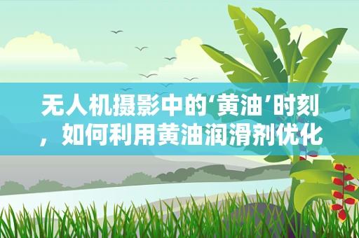 无人机摄影中的‘黄油’时刻，如何利用黄油润滑剂优化相机云台？