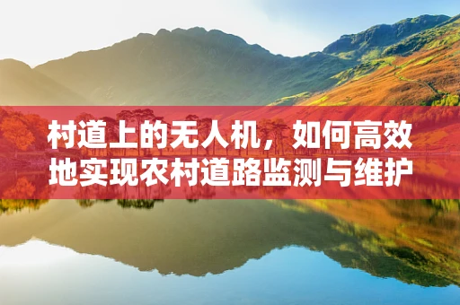 村道上的无人机，如何高效地实现农村道路监测与维护？