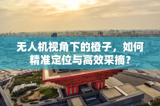 无人机视角下的橙子，如何精准定位与高效采摘？