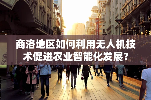 商洛地区如何利用无人机技术促进农业智能化发展？