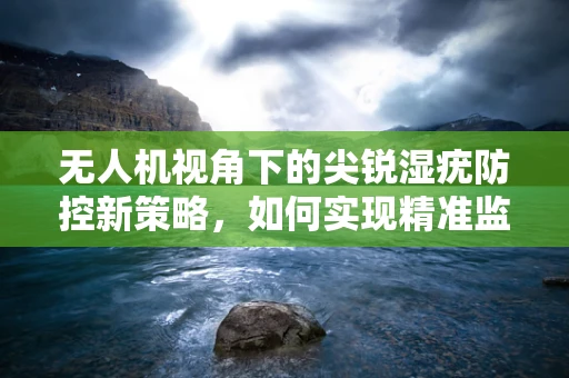无人机视角下的尖锐湿疣防控新策略，如何实现精准监测与干预？
