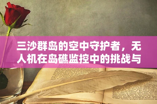 三沙群岛的空中守护者，无人机在岛礁监控中的挑战与机遇？