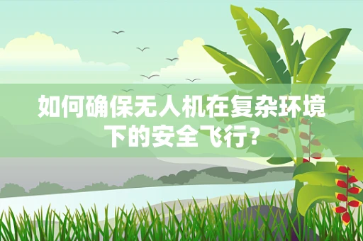 如何确保无人机在复杂环境下的安全飞行？