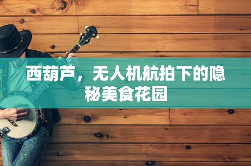 西葫芦，无人机航拍下的隐秘美食花园