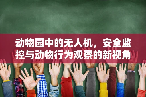 动物园中的无人机，安全监控与动物行为观察的新视角？