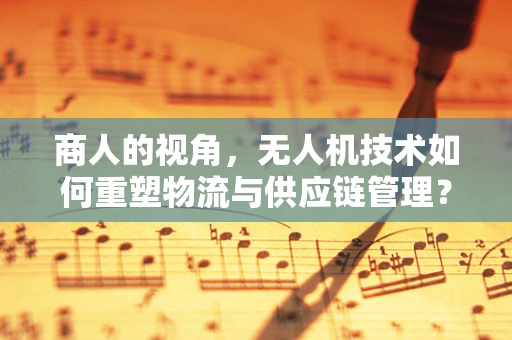 商人的视角，无人机技术如何重塑物流与供应链管理？