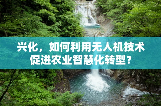兴化，如何利用无人机技术促进农业智慧化转型？