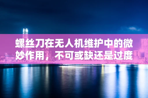 螺丝刀在无人机维护中的微妙作用，不可或缺还是过度依赖？