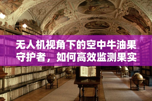 无人机视角下的空中牛油果守护者，如何高效监测果实成熟度？