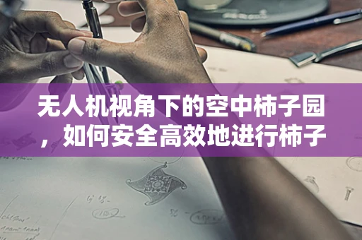 无人机视角下的空中柿子园，如何安全高效地进行柿子林监测？