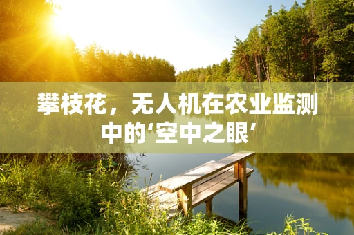 攀枝花，无人机在农业监测中的‘空中之眼’