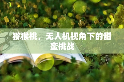 猕猴桃，无人机视角下的甜蜜挑战