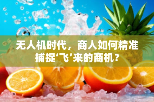 无人机时代，商人如何精准捕捉‘飞’来的商机？