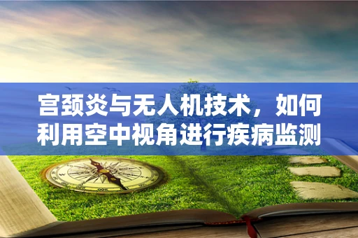 宫颈炎与无人机技术，如何利用空中视角进行疾病监测的新思路？