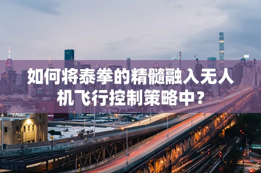 如何将泰拳的精髓融入无人机飞行控制策略中？
