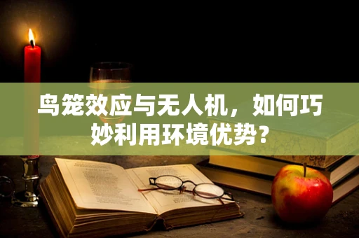 鸟笼效应与无人机，如何巧妙利用环境优势？