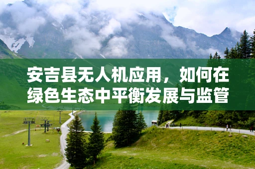 安吉县无人机应用，如何在绿色生态中平衡发展与监管？