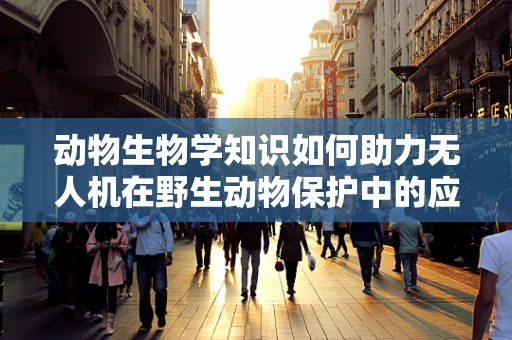 动物生物学知识如何助力无人机在野生动物保护中的应用？