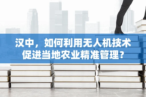 汉中，如何利用无人机技术促进当地农业精准管理？