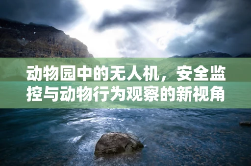 动物园中的无人机，安全监控与动物行为观察的新视角？
