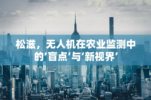松滋，无人机在农业监测中的‘盲点’与‘新视界’