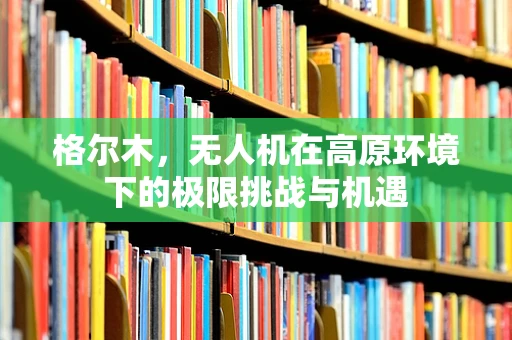 格尔木，无人机在高原环境下的极限挑战与机遇