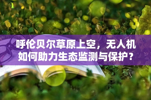 呼伦贝尔草原上空，无人机如何助力生态监测与保护？