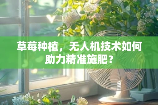 草莓种植，无人机技术如何助力精准施肥？
