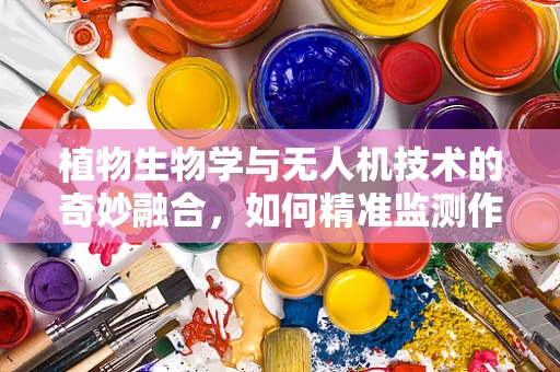 植物生物学与无人机技术的奇妙融合，如何精准监测作物健康？